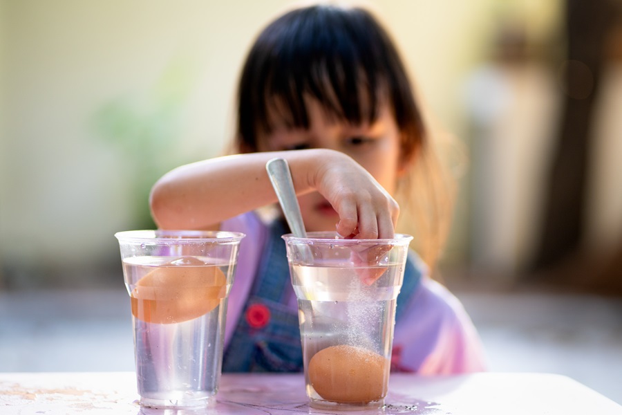 Bild zu Hase, Kuh und viel Gegacker
